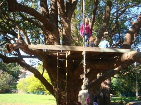 Delve into the World of Education with the Magical Tree House